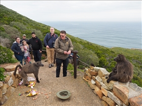 Cape of Good Hope